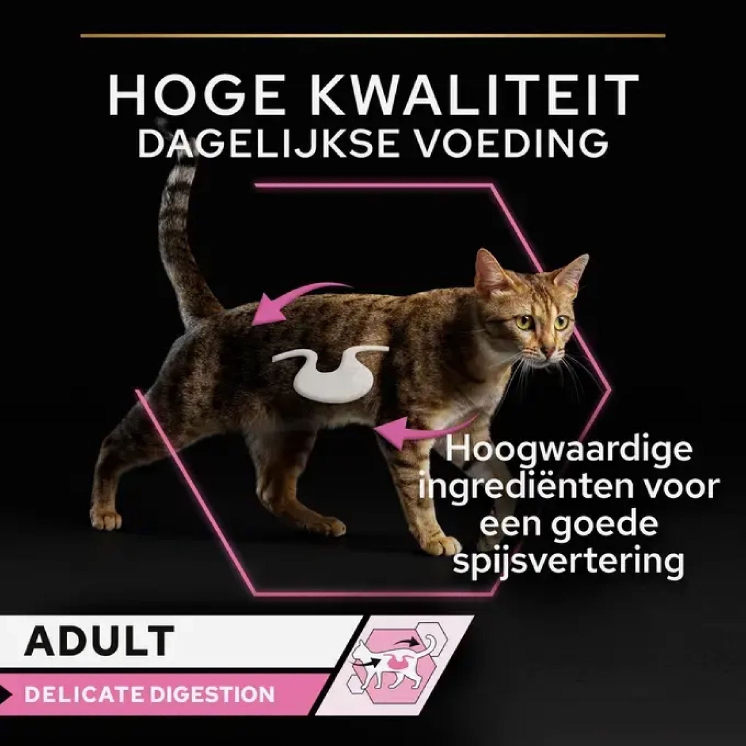 Purina Pro Plan Delicate Digestion Adult Kat 10 x 85 gram maaltijdzakjes vis