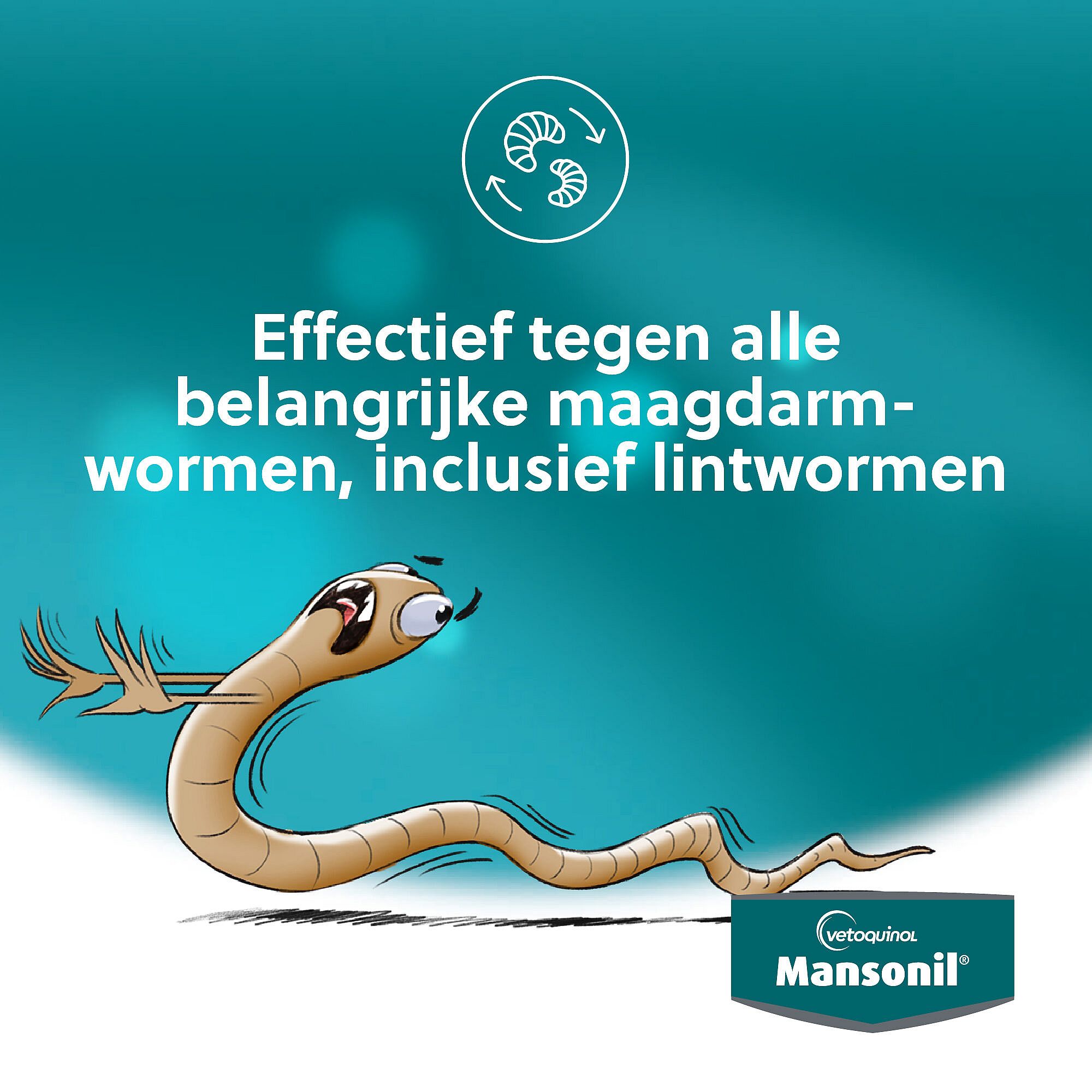 Mansonil All Worm Grote Hond 2 Ontwormingstabletten