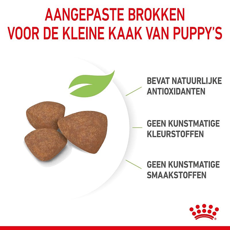 Royal Canin Puppy Mini