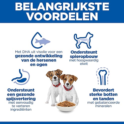 kinderhonden, brokkoek, hondenvoer, doper, knabbel