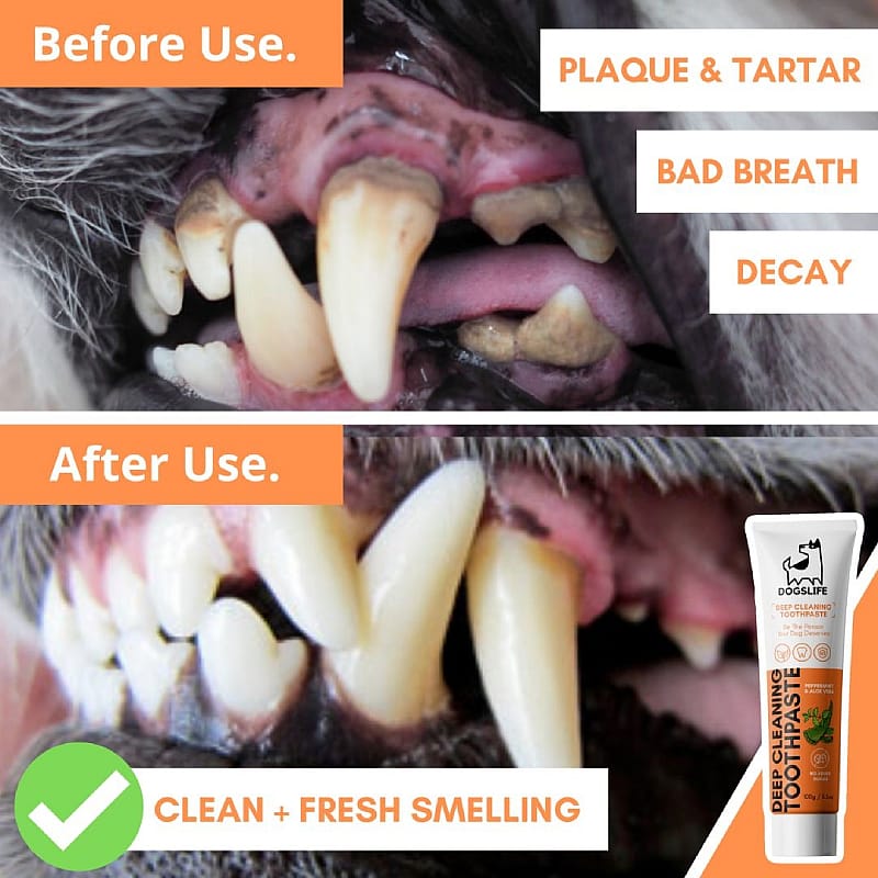 OurDogsLife Dental Kit Hond