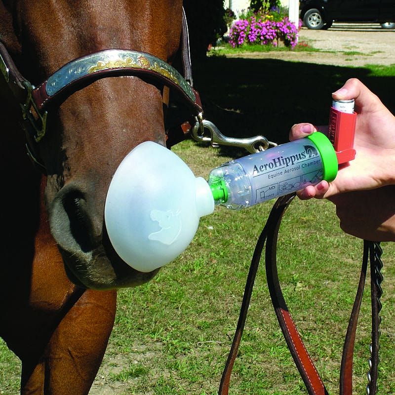 neusgas, fles, mondstuk, paard, aerosolzrucht??