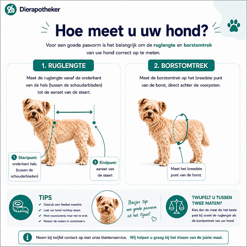 hond, tabel, ruglengte, borstomtrek, maatvoering