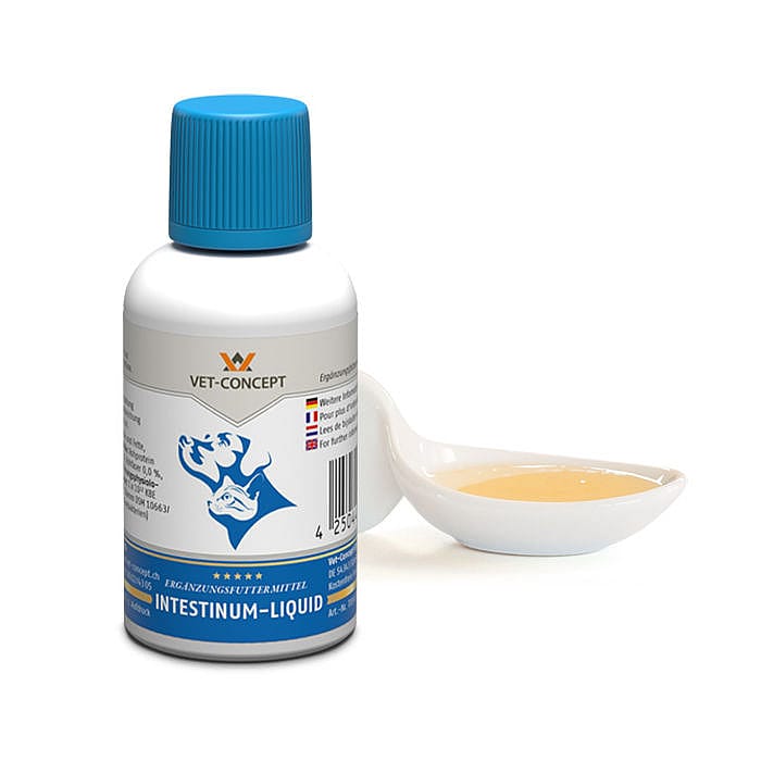 Vet-Concept Intestinum-Liquid Darm Hond Kat