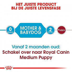 Royal Canin Starter Medium Hond