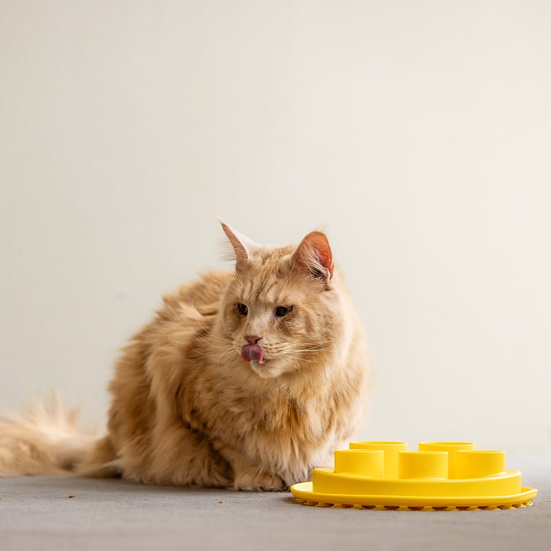 Puzzle Digger Slow Feeder Ø 25cm Kat
