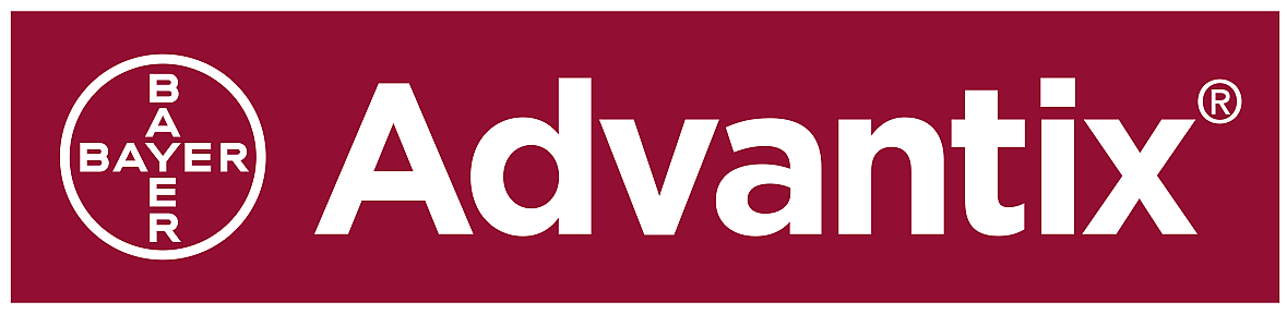 Logo, Logo