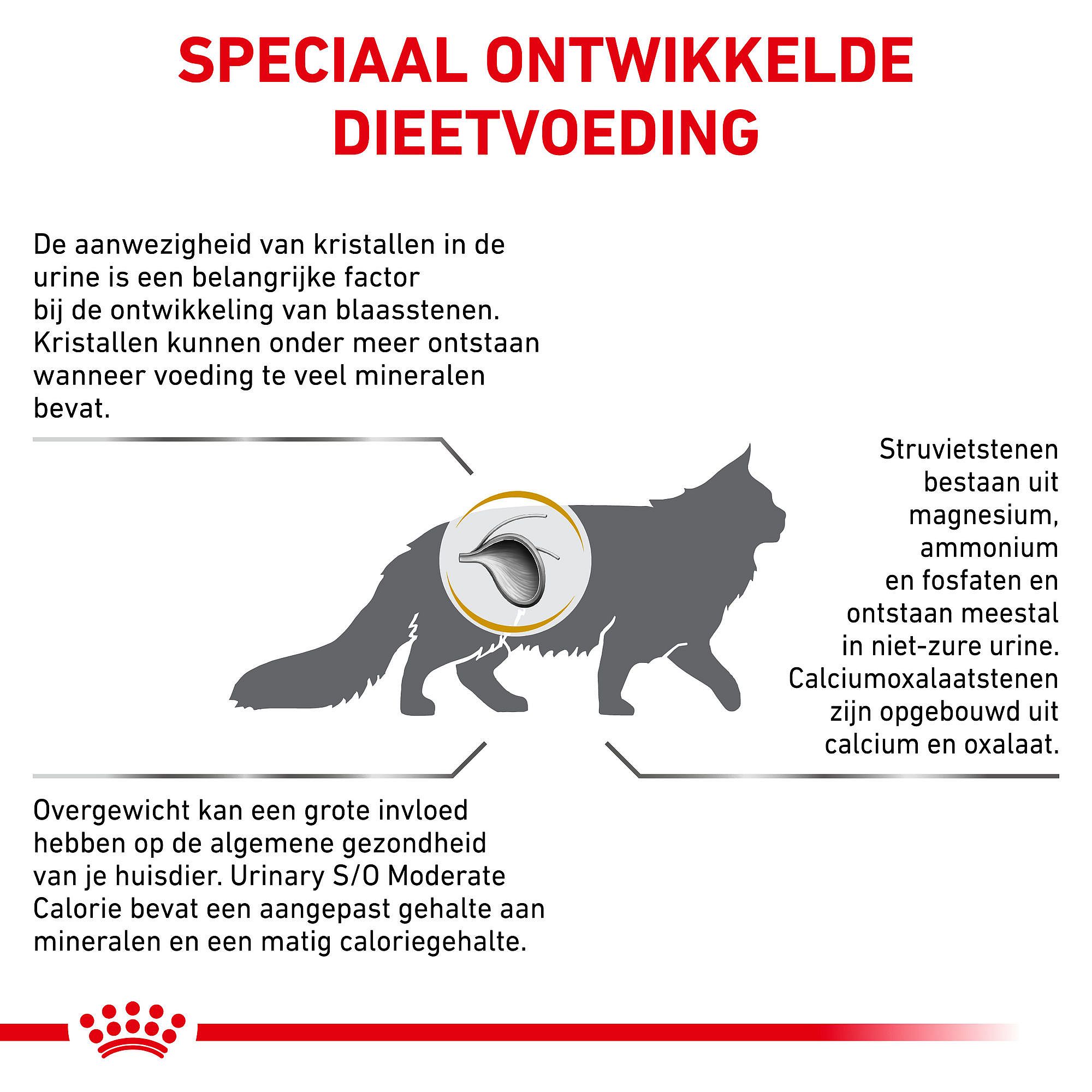 Royal Canin Urinary S/O Moderate Calorie Kat