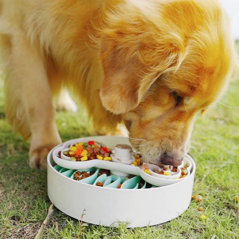 Puzzle Slow Feeder Ø 25 cm Grote Hond Puzzle Slow Feeder - Ø 25 cm