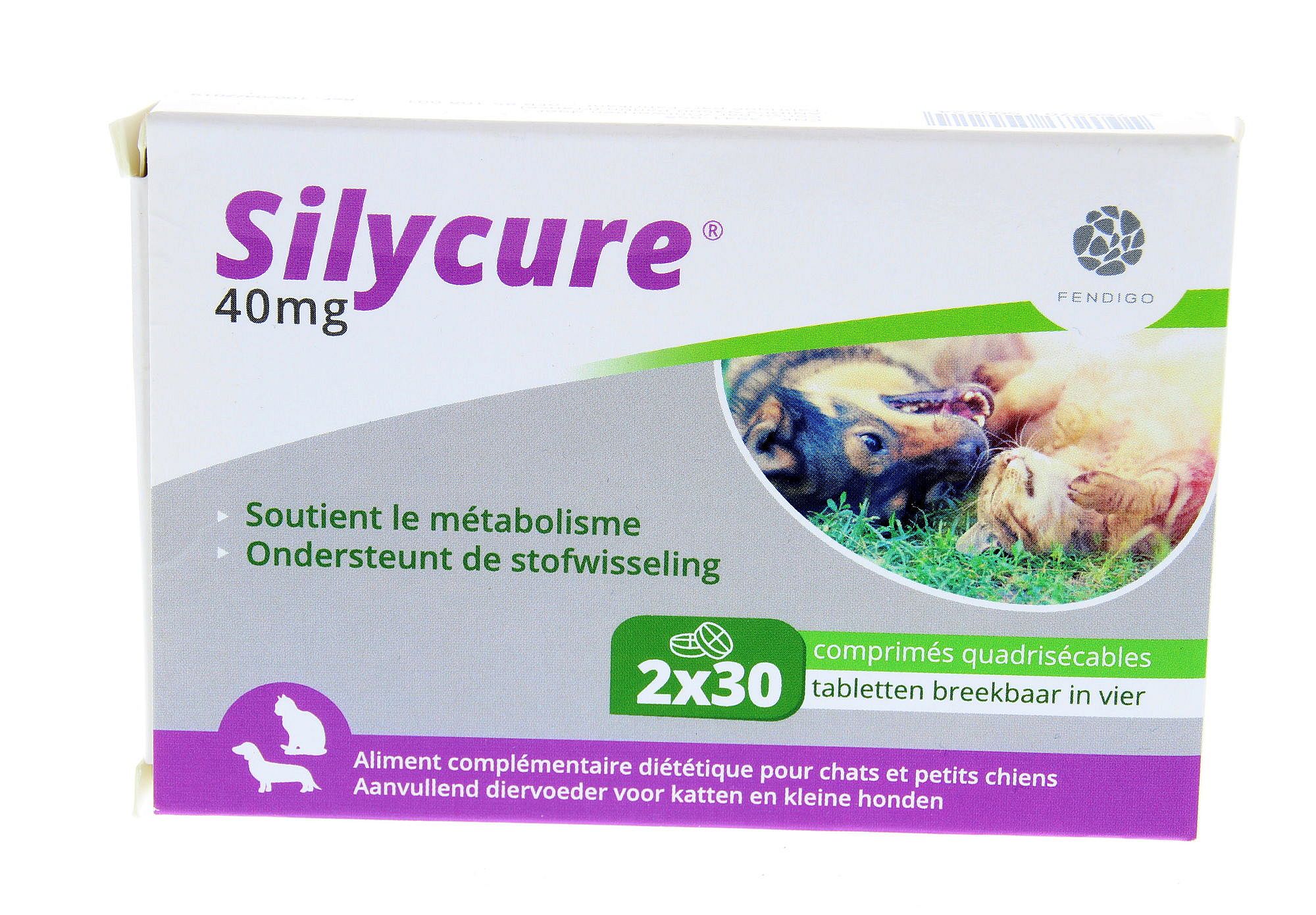 Silycure Fendigo 2 x 30 tabletten - 40 mg