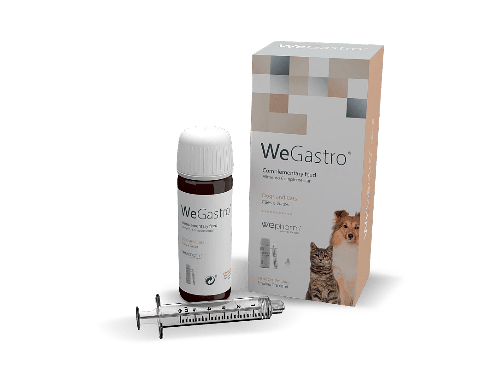 Wepharm Wegastro Hond Kat 60 ml