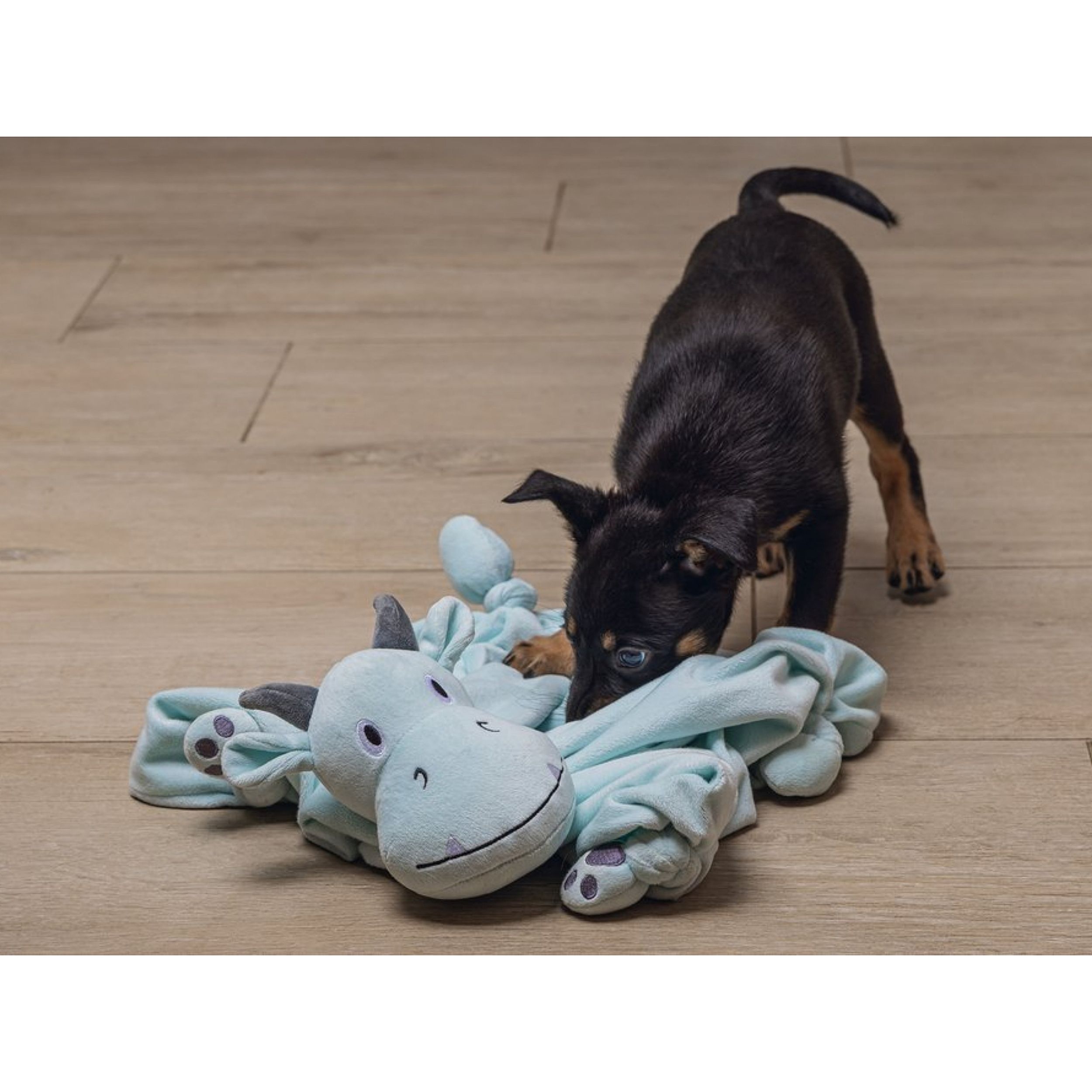 puppy,  toy,  fabric,  blauwe,  plush