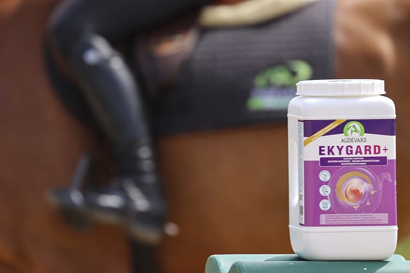 Audevard Ekygard+ Maag Stress Paard