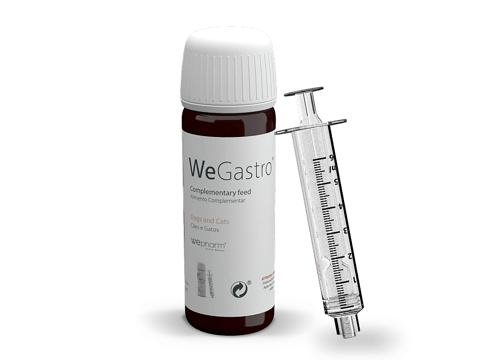Wepharm Wegastro Hond Kat 60 ml