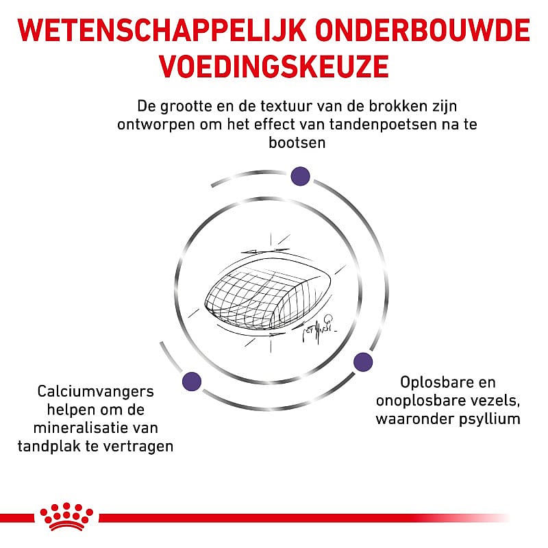 Royal Canin Dental Kat