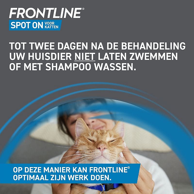 Advertentie, Poster, Dokter, Persoon, Kitten, Advertentie, Poster, Dokter, Persoon, Kitten, Advertentie, Poster, Dokter, Persoon, Kitten, Advertentie, Poster, Dokter, Persoon, Kitten