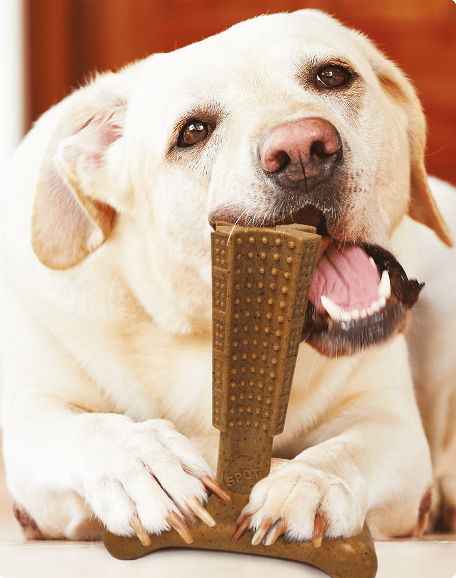 Spot Naturals Bam-Bones Plus Easy Grip Kauwspeeltje Hond