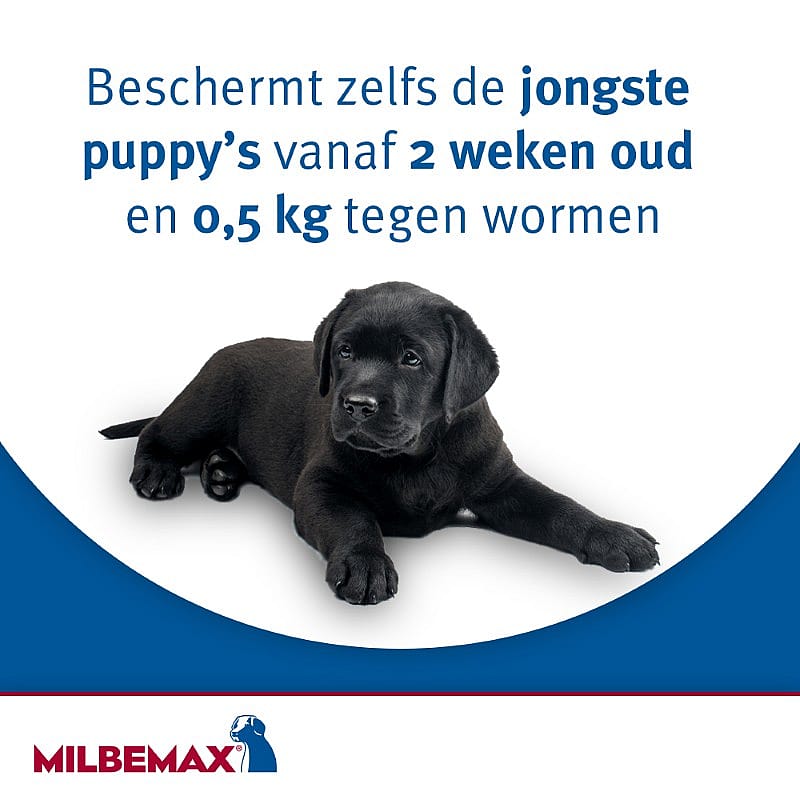 Milbemax Kleine Hond Puppy Ontwormingstabletten 4 tabletten