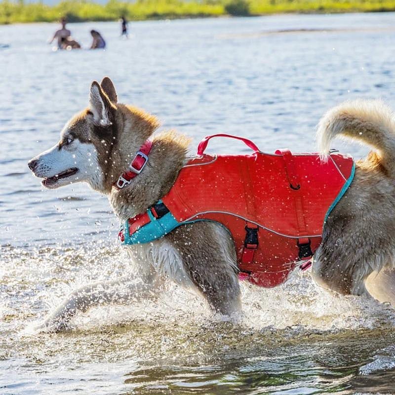 Kurgo Life Jacket Surf and Turf Comfortabel Hondenzwemvest