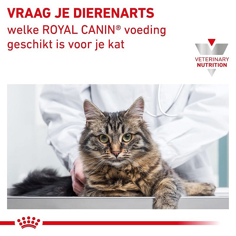 Royal Canin Renal Kat 12 x 85 gram maaltijdzakjes - Vis