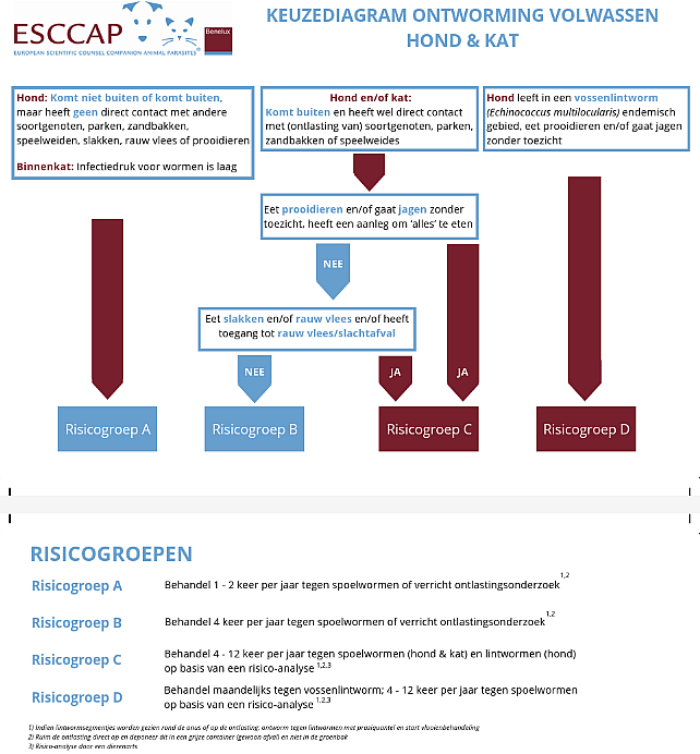 hondenkat, vossenlintworm, jagen, wormenprede, ontworming