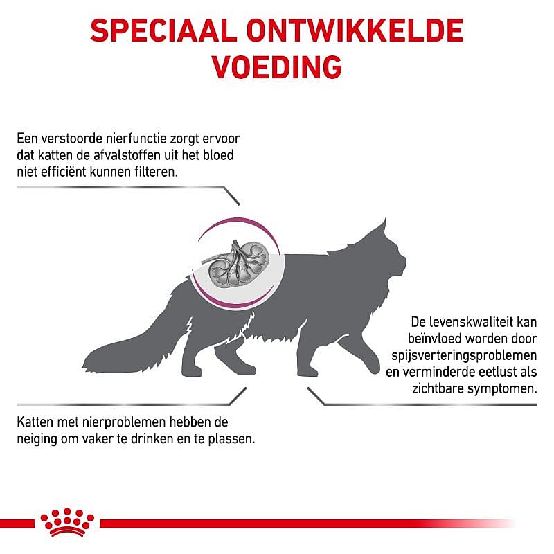 Royal Canin Renal Special Kat