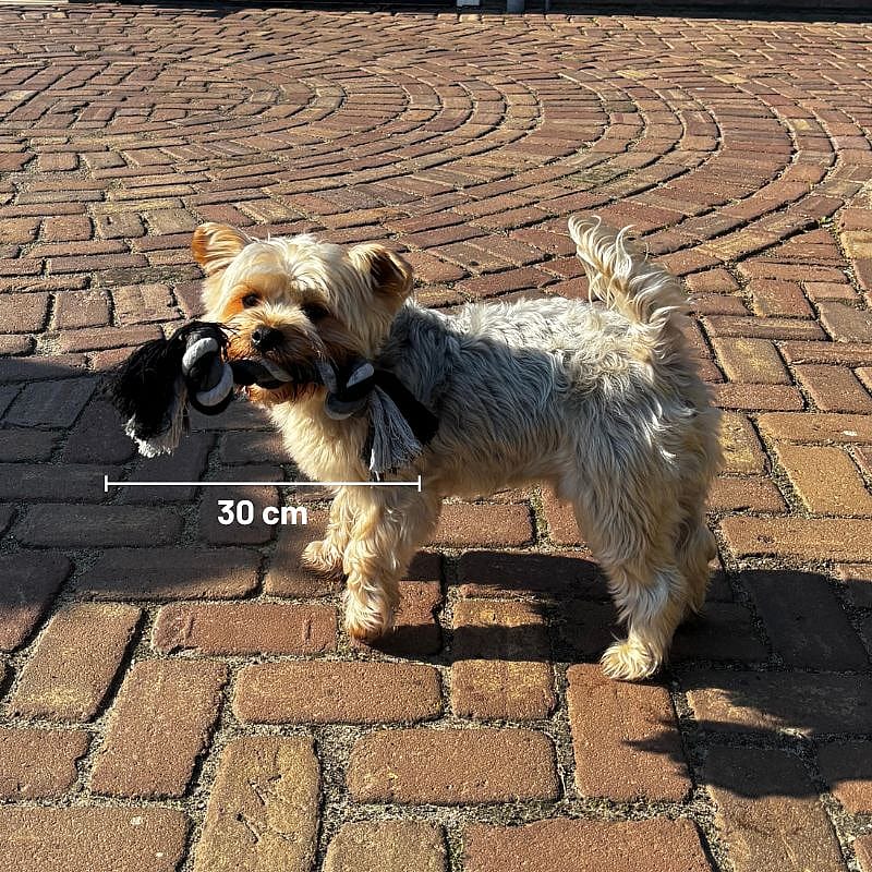 Floss Boss Dental Rope Flosstouw 2 Knot Hond 85 cm