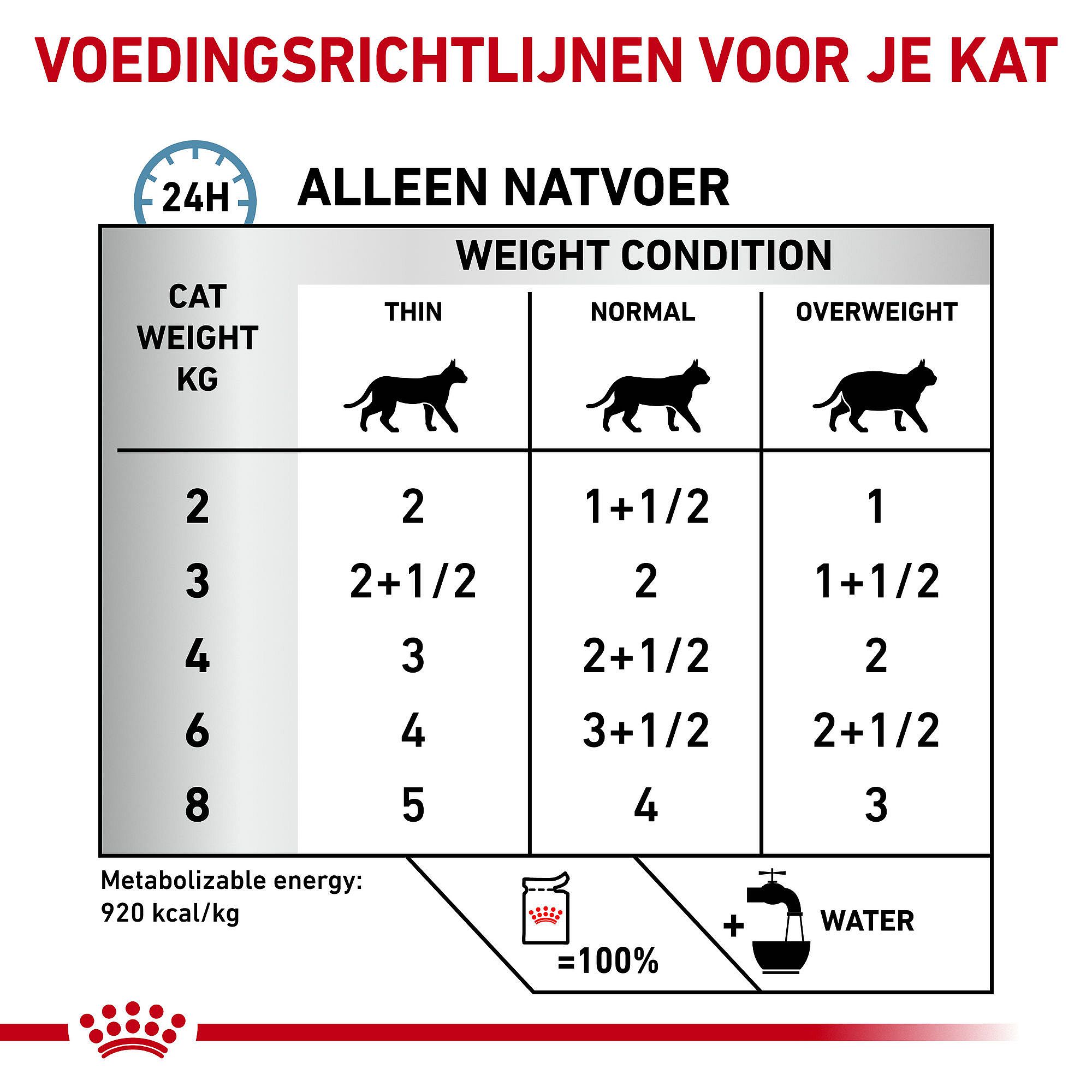 Royal Canin Skin & Coat Kat 12 x 85 gram