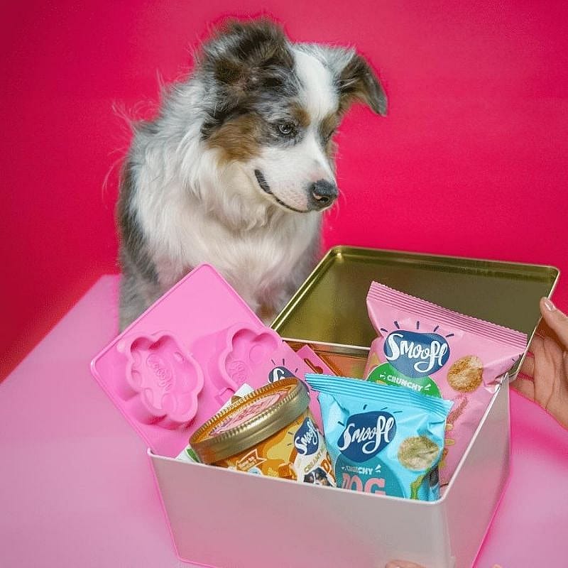 Smoofl Limited Edition Gift Set Hond