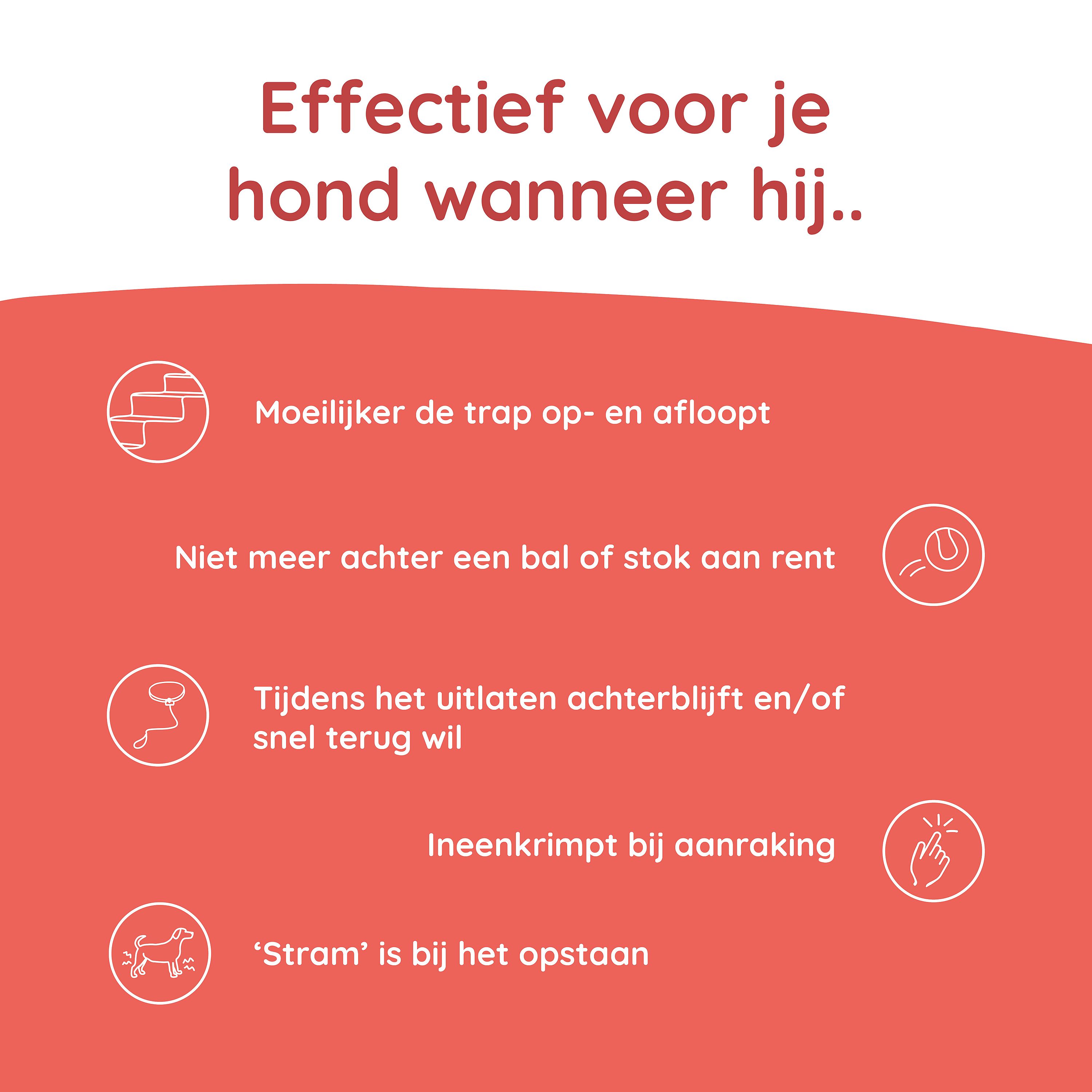 Greenfields Mobility+ Gewrichten Hond 60 tabletten