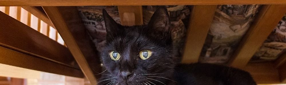 15cb50469b453b3ab3818ec8d650d1c8