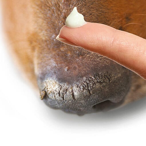 Maxani Kerasooth Cream Huid Hond Kat 30 ml