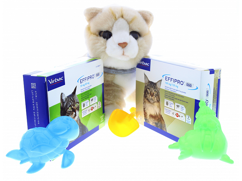 Effipro Duo Spot-on Kat 1 tot 6 kg