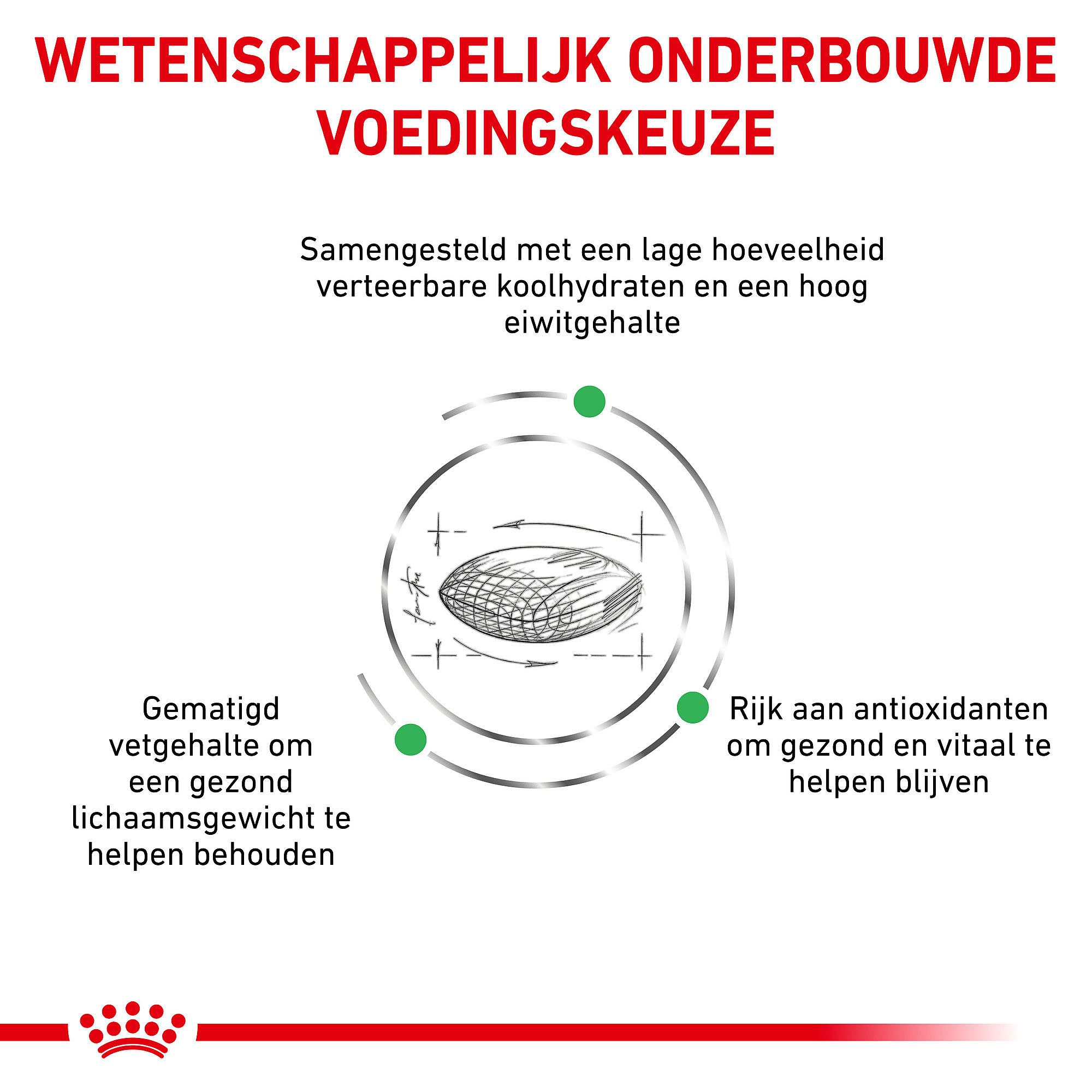 Royal Canin Diabetic Kat