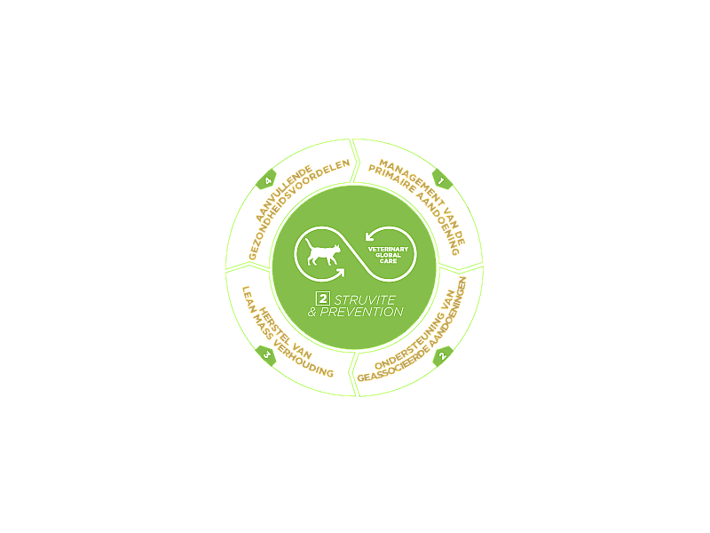 HPM Cat Urology Dissolution & Prevention - Struvite & Oxalate Crystals 12 x 85 gram