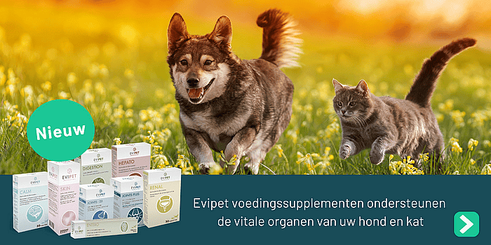 Evipet Joints Gewrichten 10 - Kleine Hond/Kat - 60 tabletten
