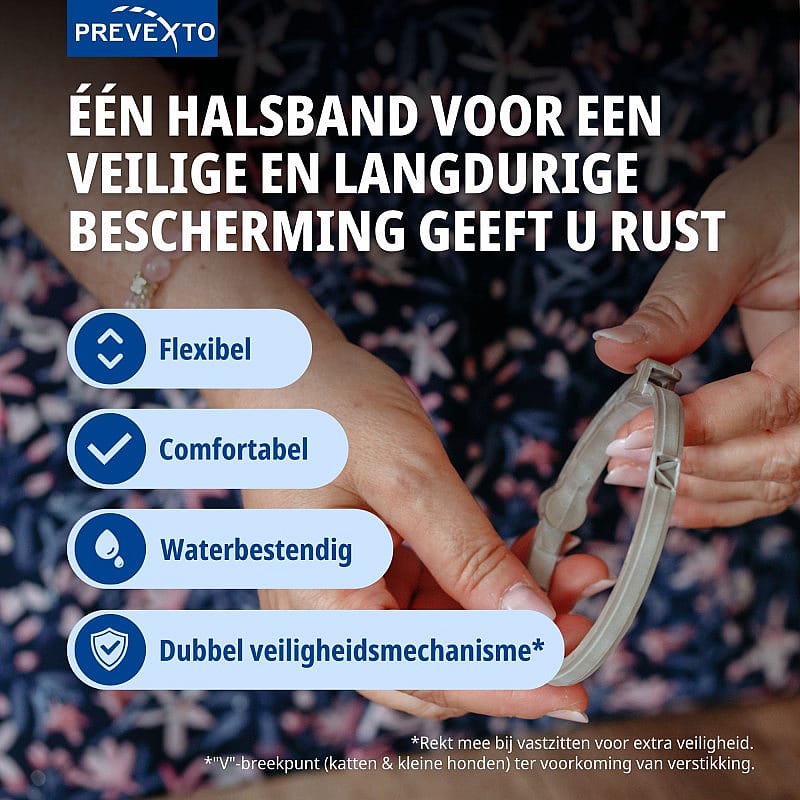 halsband, accessoire, veiligheidsband, waterbestendig, dubbel veiligheidsmechanisme