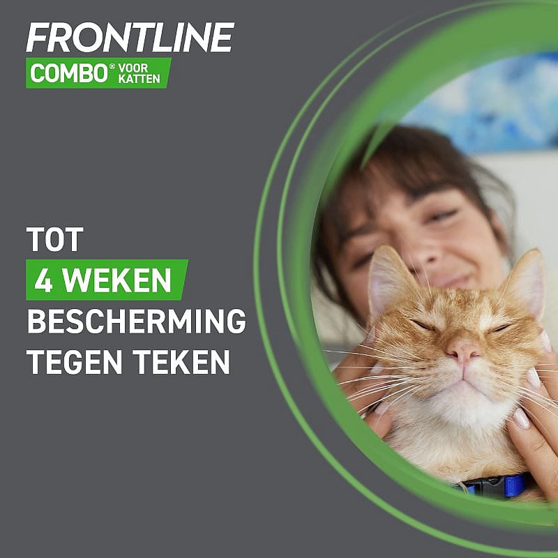 Kat, Zoogdier, Huisdier, Gezicht, Persoon, Kat, Zoogdier, Huisdier, Gezicht, Persoon, Kat, Zoogdier, Huisdier, Gezicht, Persoon, Kat, Zoogdier, Huisdier, Gezicht, Persoon