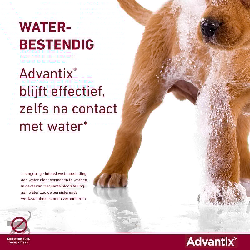 Advantix Spot-on Hond 6 pipetten - 4 - 10 kg - 100/500