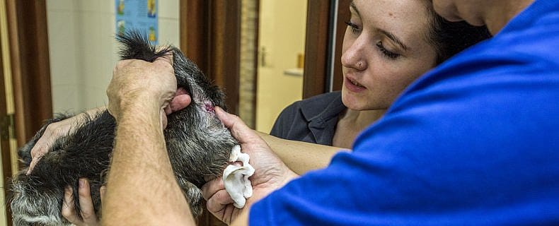 92cfe7e3fa85f74e18f9981fa29ef974