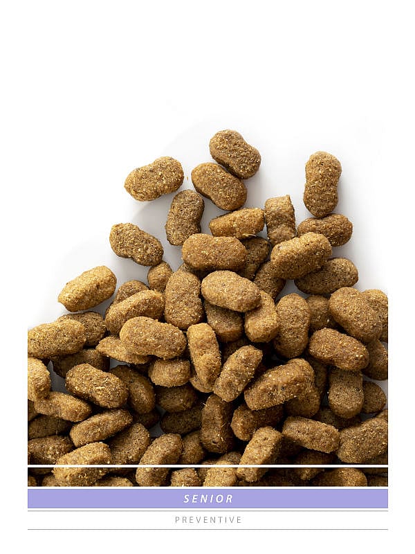 Sanimed Senior Hond: Natuurlijke voeding - Gezonde gewrichten - Hart & Hersenen