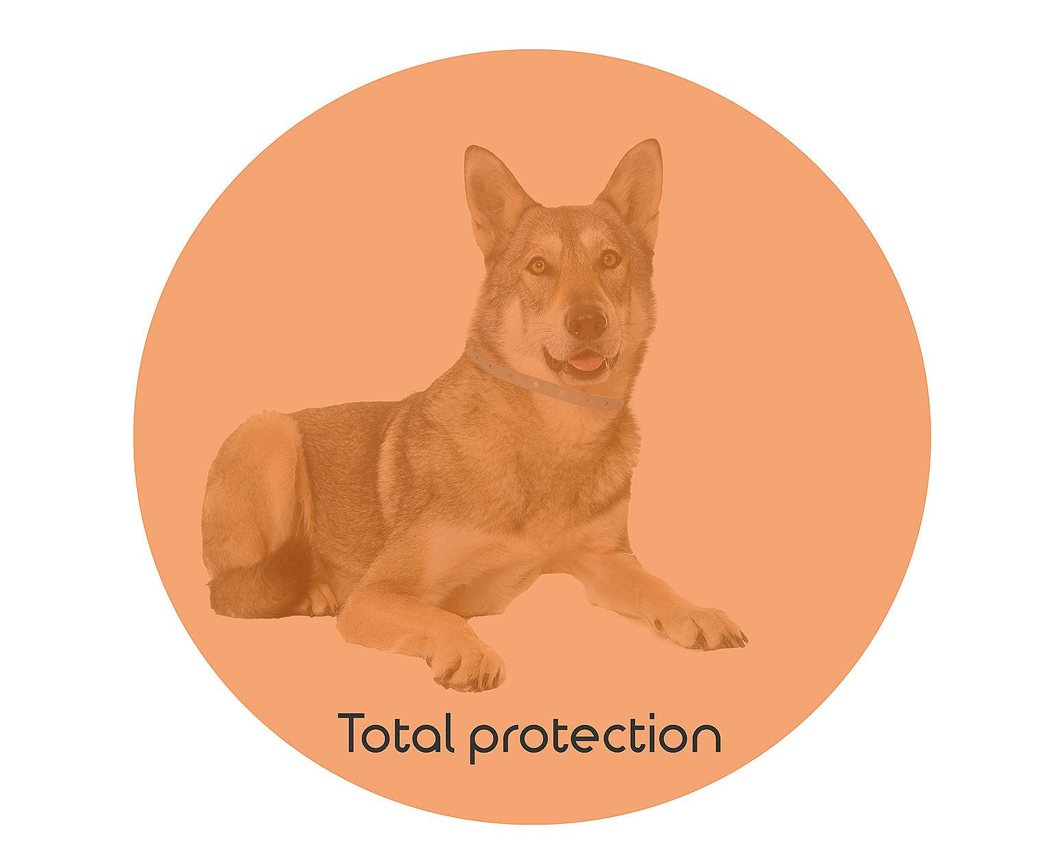 Knock Pest Vlooien/Tekenband