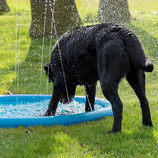 Coolpets Splash Pool Sproeier