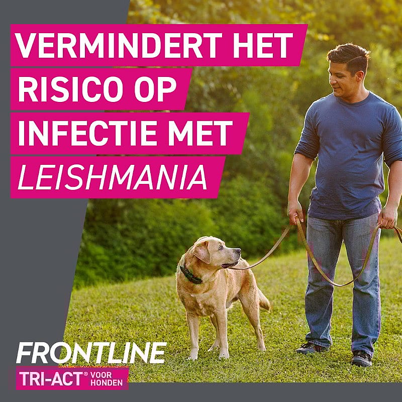 Frontline Tri-Act Hond