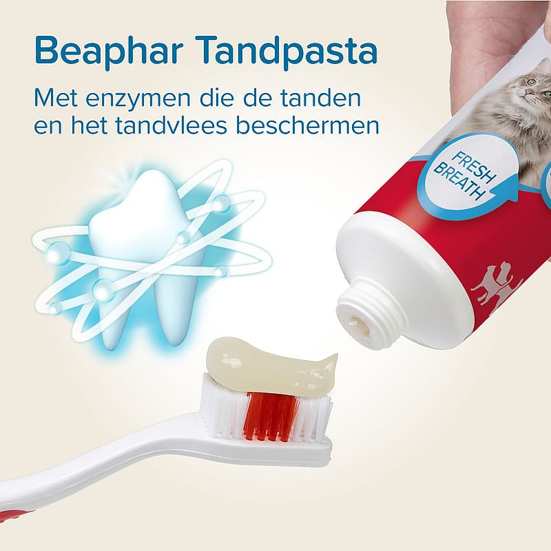 Beaphar Tandpasta en Tandenborstel 1 set