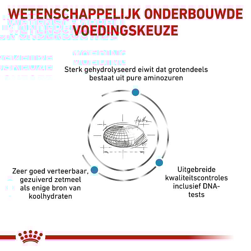 Royal Canin Anallergenic Kat 2 kg