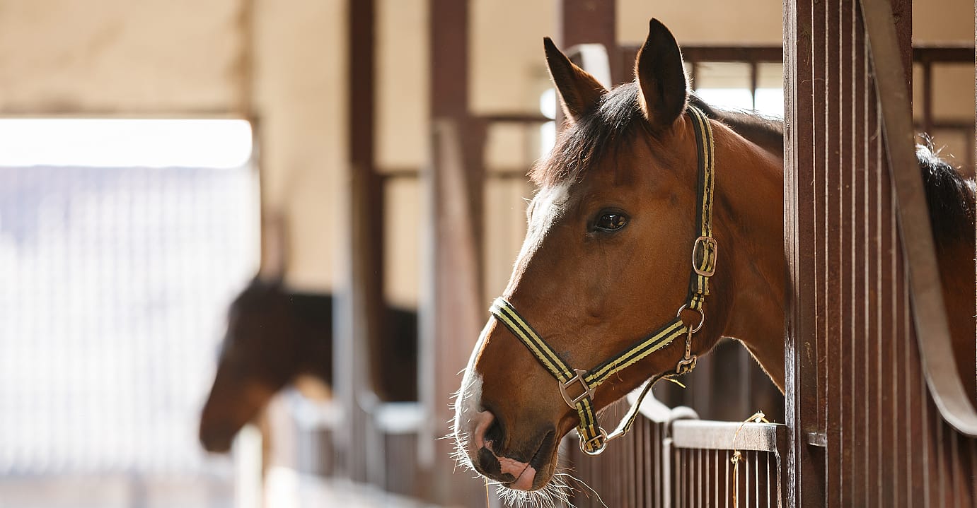 d3a8399eec9ea7ed6ac24df12dcd0db7