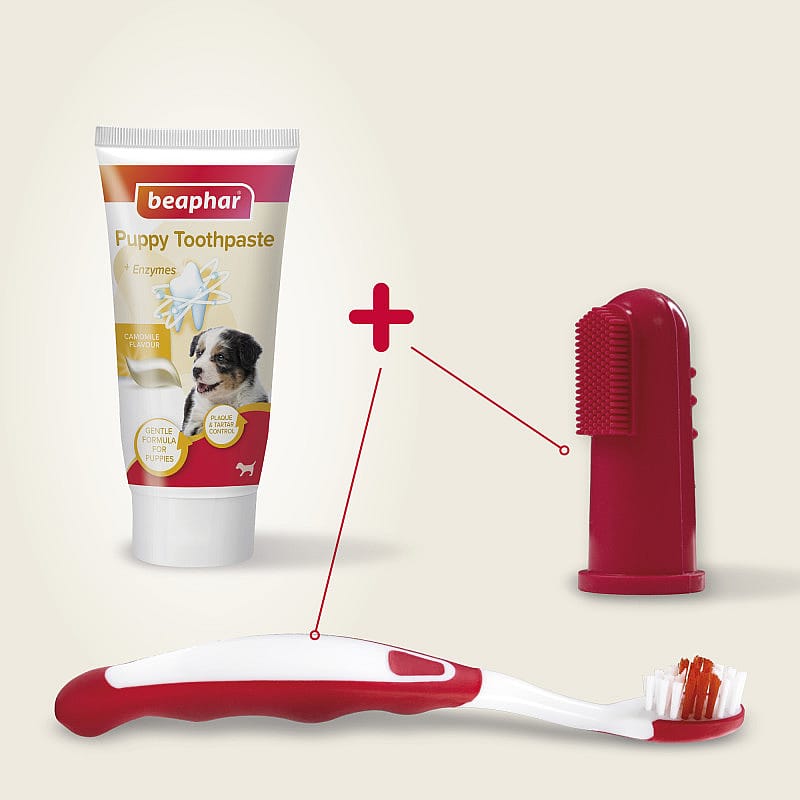 Beaphar Combi-Pack Puppy Tandpasta & Borstel