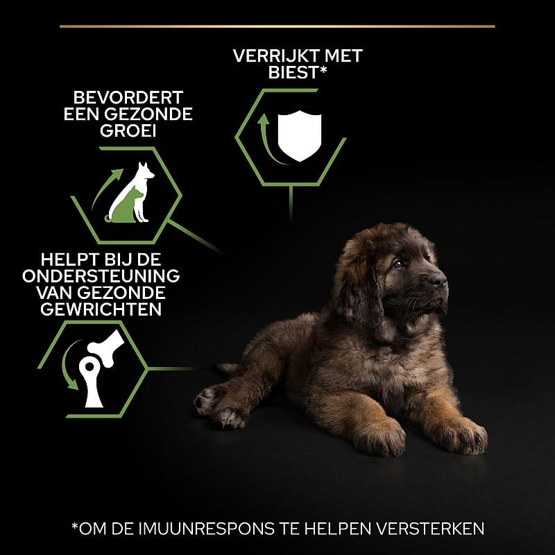 Purina Pro Plan Large Robust Puppy Healthy Start Hondenvoer 12 kg