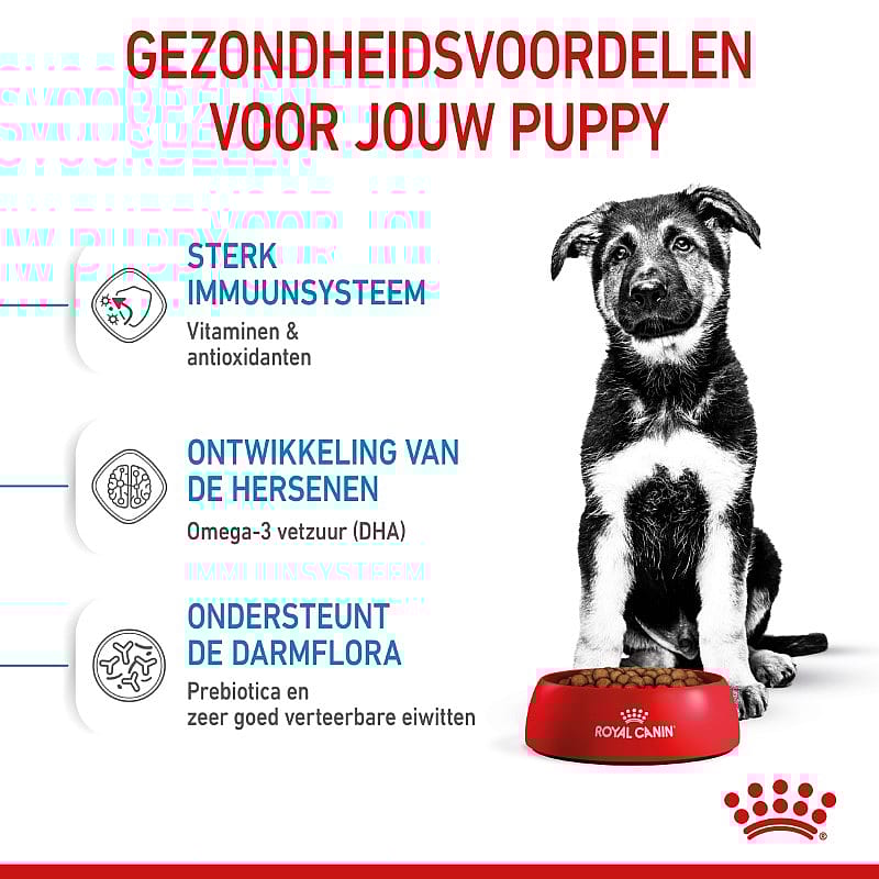 Royal Canin Puppy Maxi